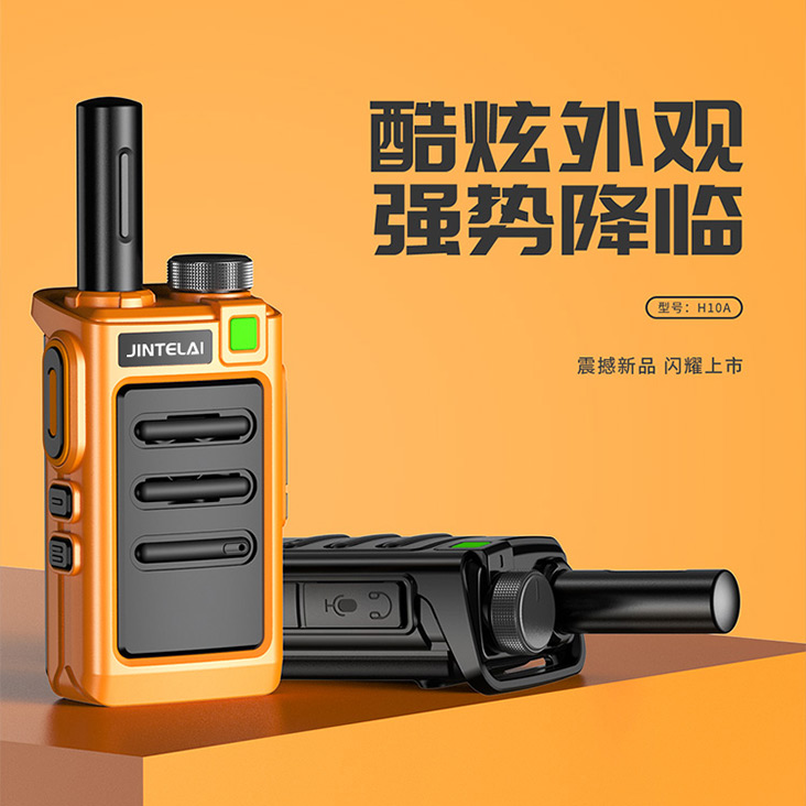H10A